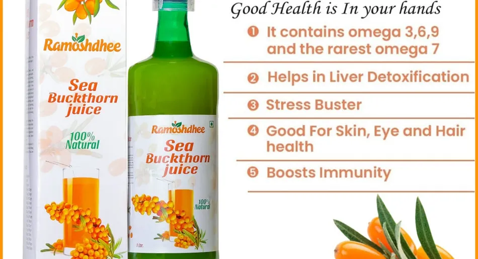 Sea buckthorn berries organic harvest